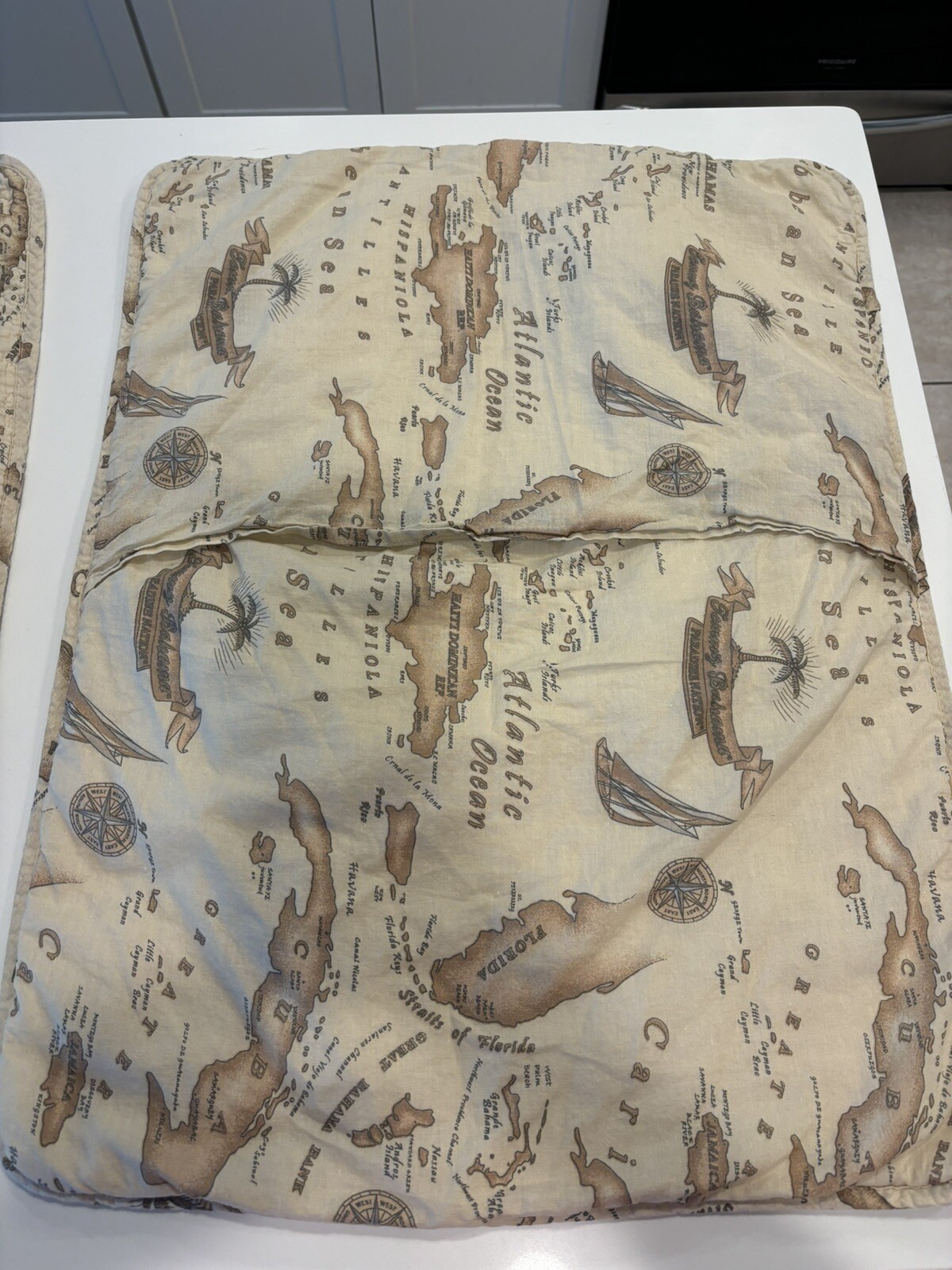 Picture 4 of 8