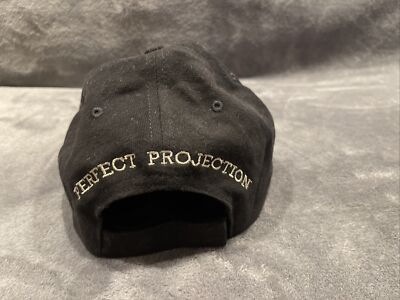 Disney Pixar Brave Perfect Projection Strapback Hat Cap Promo LE Limited  Merida