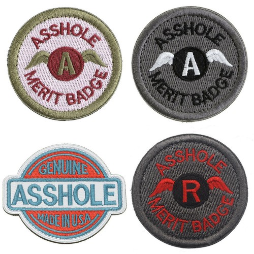 10pcs Ass Hole Merit Badge Embroidered Motif Applique Badge Wings Sew On Patch - Picture 3 of 13