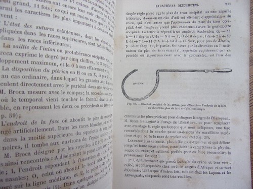 1830. Paul Topinard Anthropology (rare) - Picture 6 of 12