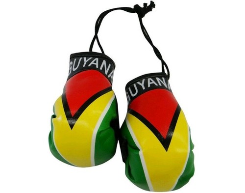 Guantone da Boxe Guyana Bandiera Specchio Finestra con Copri Poggiatesta Auto Guyana - Foto 3 di 3
