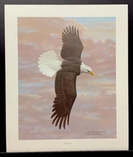 William Zimmerman Limited Edition Hand Signed Print “Soaring Eagle”