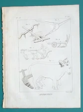 ANCIENT FARMING Agriculture Types of Plows - 1804 Antique Print Engraving