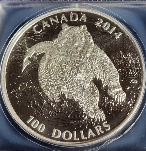 2014 Canada $100 1 Oz Fine Silver Coin-Grizzly Bear ICG MS70 Elizabeth II T3844 - Picture 3 of 4