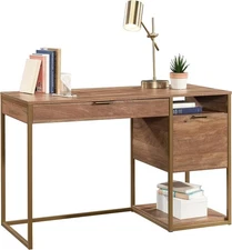 Sauder Computer Desk Home Office Desk 2-Drawer Modern style Office Desk, Brown