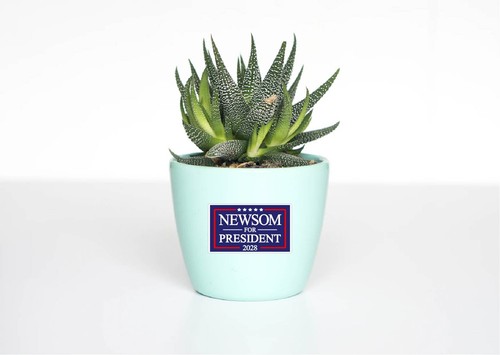 Newsom For President 2028 Decal Sticker Political Democrat California Anti MAGA - Picture 8 of 8