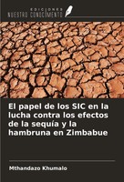 Mthandazo Khumalo | El Papel De Los SIC En La Lucha Contra Los Efectos De La...