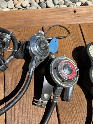 Regulador SCUBA DE COLECCIÓN, Ciervo Blanco con Manómetro Smiwmater Engranaje Buceo - Imagen 4 de 5