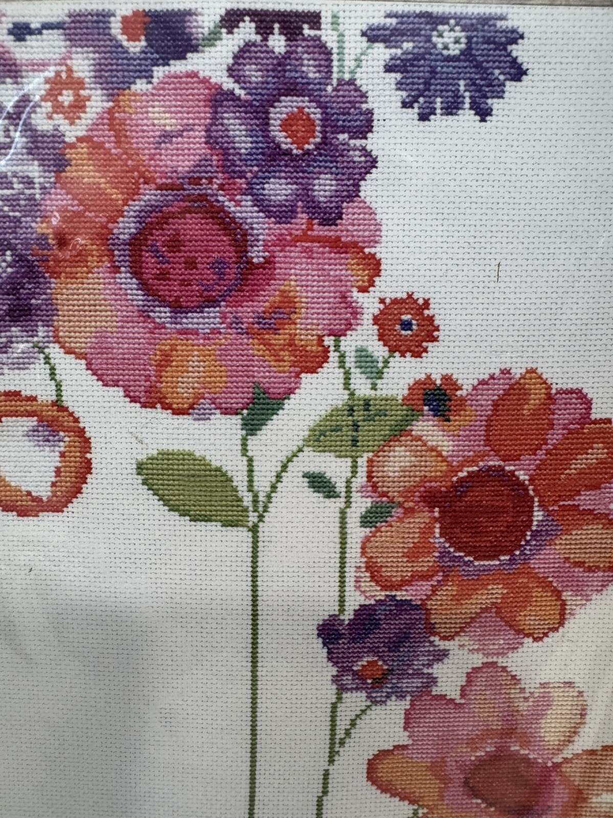 Picture 3 of 6