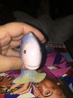 Blue Porcelain Fish — photo 5