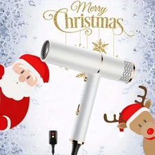Fast Ionic Professional Hair Dryer Diffuser Blow Dryer For Types Holiday Gift
