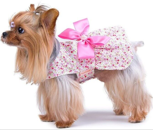 Neu Sommer Haustier kleiner Hund Tutu Kleid Shirt mit Band, Perle, Blume rosa L - Bild 4 von 7