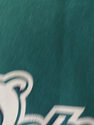 NFL Miami Dolphins Brandon Marshall Men's Jersey TShirt Size XXL - Picture 3 of 8