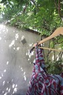 Picture 6 of 7