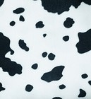 Bild 17 von 26