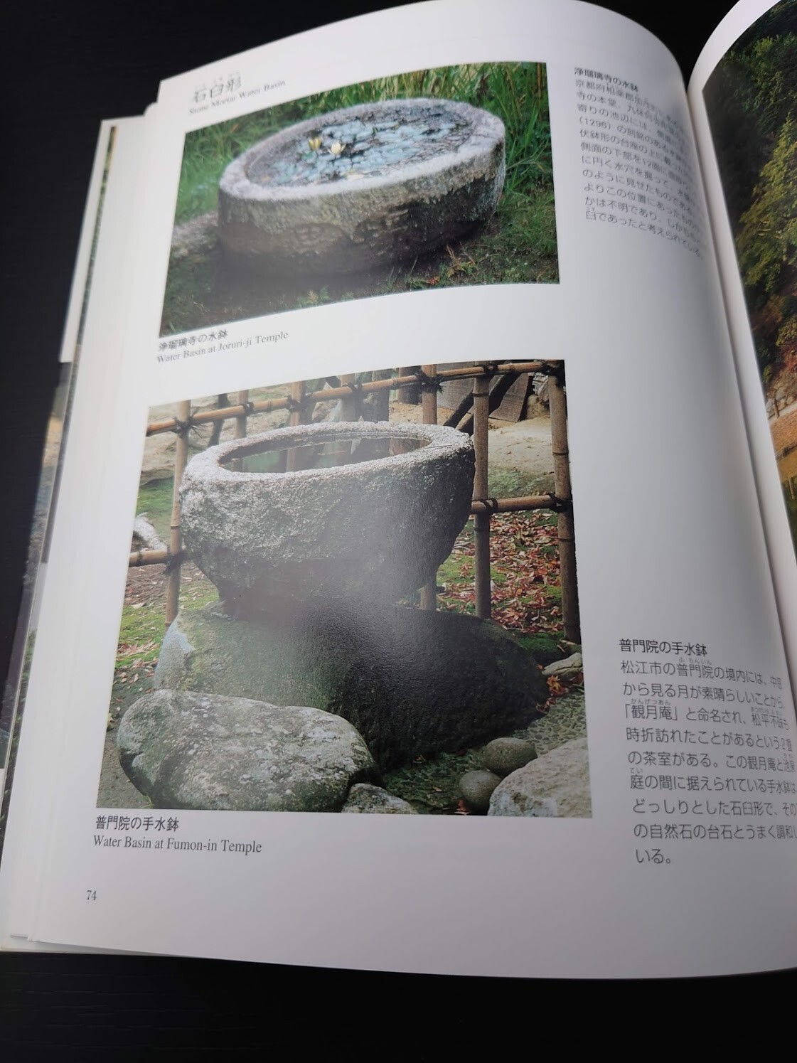 Picture 5 of 8