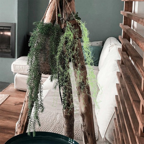 2 Pcs Artificial Vines Hanging Plants Indoor Moss Garland Faux for - Picture 2 of 12