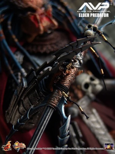 Ultra Rare SIDESHOW ELDER PREDATOR V1.0 HotToys MMS16 NEW 2007 1:6 scale US - Picture 18 of 18