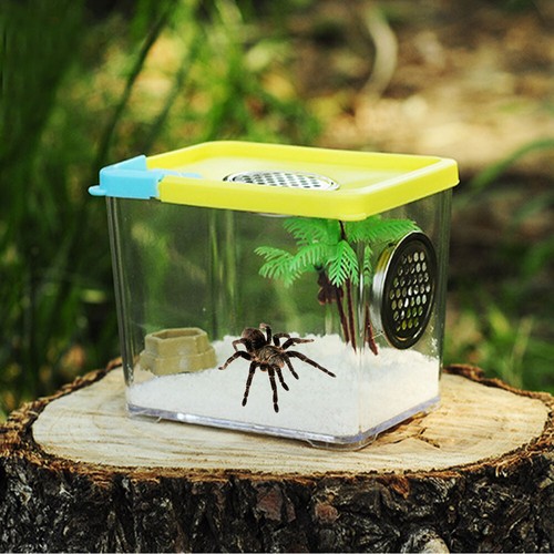 Spider Breeding Box Acrylic Insect Feeding Box Terrarium Reptile Cage Case - Picture 2 of 12