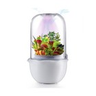 New ListingSmart Venus Fly Trap Terrarium Pot with Timer&Fan,Succulent Planter with Grow.