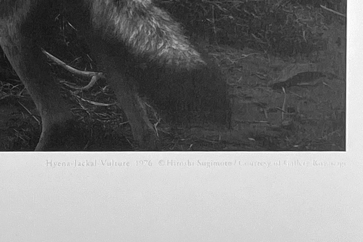 Hiroshi Sugimoto: Print Hiroshi Sugimoto: Print