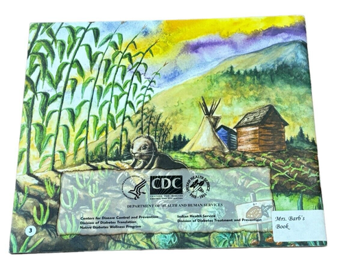 Georgia Perez Eagle Children's Books Native American Diabetes Set of 4 Books - Bild 3 von 19