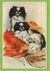 Japanese Chin Charming Dog Greetings Note Card Two Little Dogs And A Fan