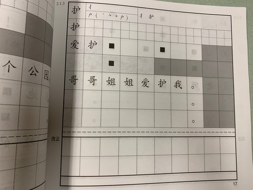 Chinese For Young Learners Character Writing Exercise Books Lot Of 4 (2A, 2B) - Picture 11 of 14