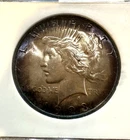 1923 Peace Silver Dollar PCI Holder Rainbow Color Toning