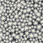 Daisy Wallpaper Skinny Dip London Black Floral White Yellow Flower