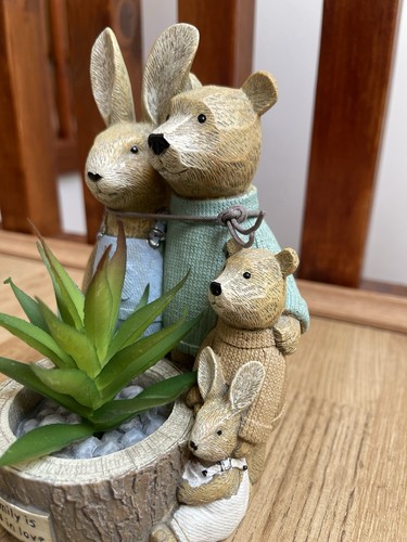 Next Bertie Bear & Rosie Rabbit Family Artificial Succulent Ornament Sculpture - Picture 5 of 13