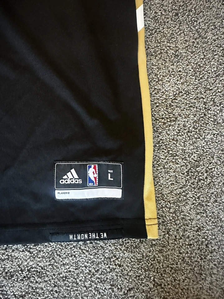 Demar DeRozan Toronto Raptors 2016-17 Adidas Swingman OVO City Jersey Large - Image 3 of 4