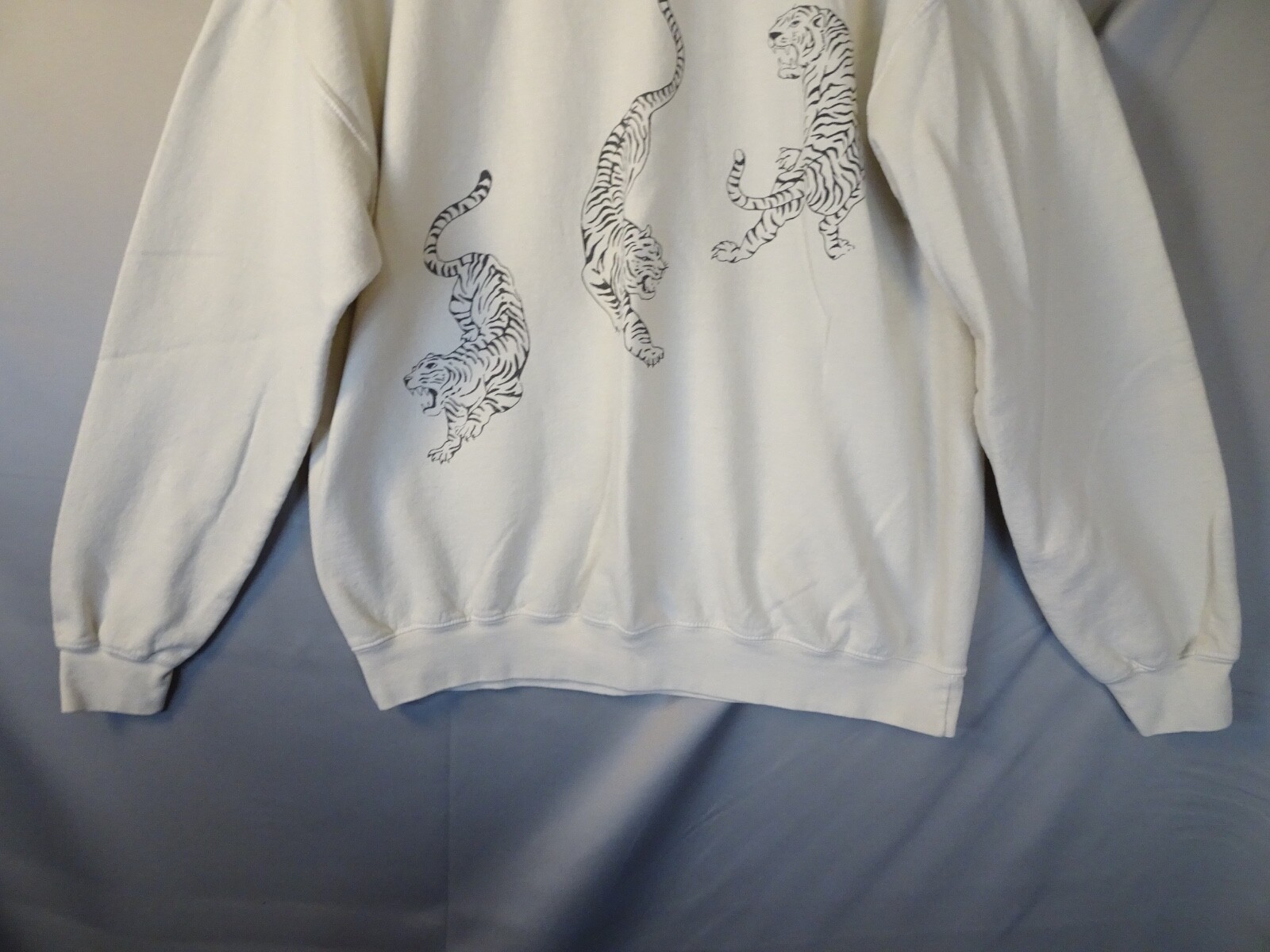 Picture 4 of 13