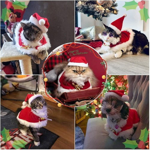 Cat Christmas Costume, Small Dog Santa Hat with Cloak Set, Warm Xmas Cloak Co... - Picture 7 of 8