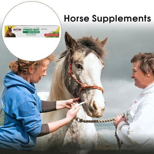 Pyrantel Paste Wormer by Durvet For Horses Dewormer 23.6 GM - Apple Flavor= - Picture 6 of 10