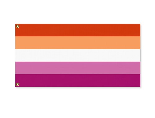 Updated Lesbian Pride Flag - Trans Non-Binary Inclusive, LGBTQIA LGBT Anti-Terf - Picture 2 of 6