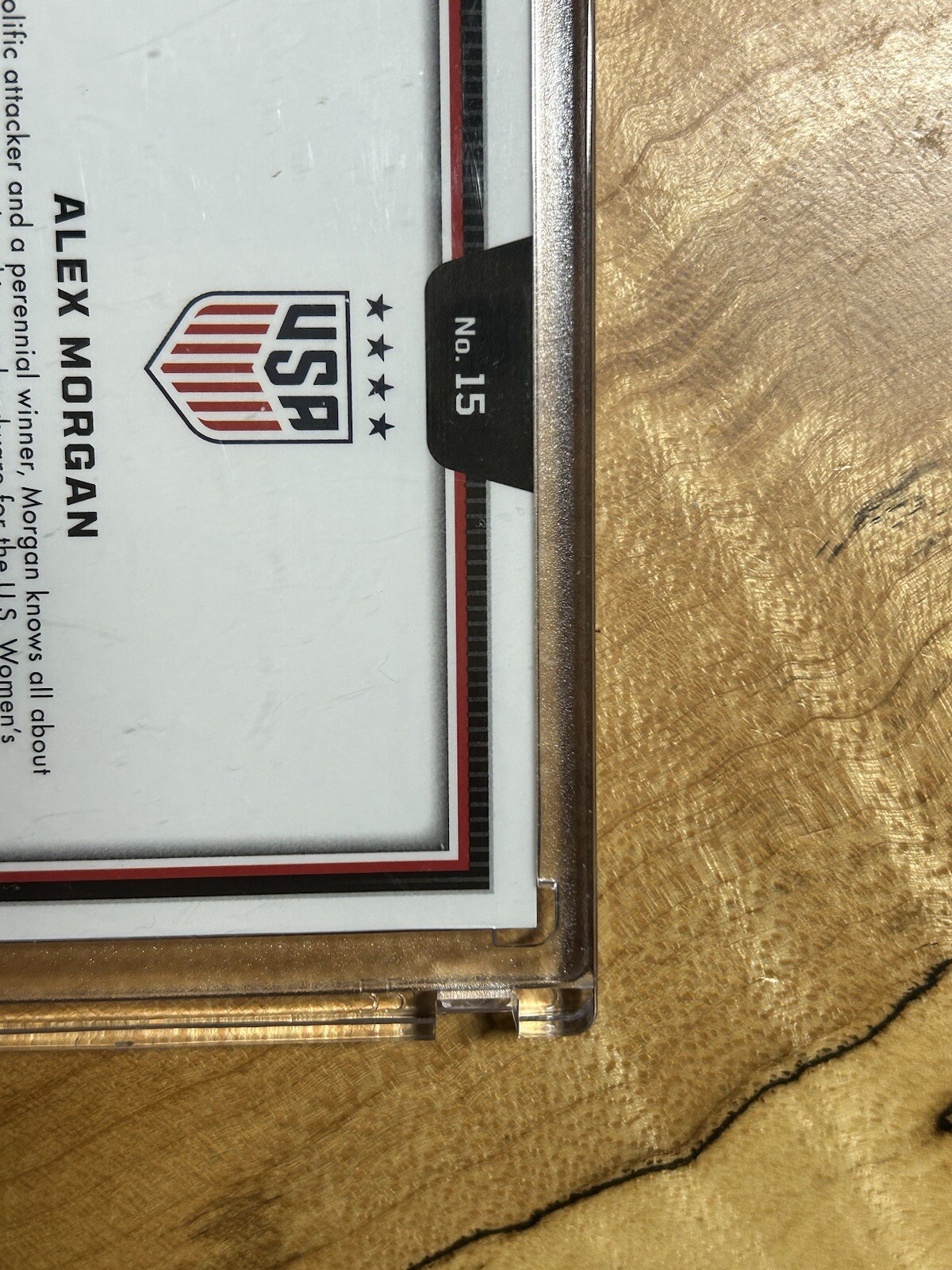 Picture 6 of 7