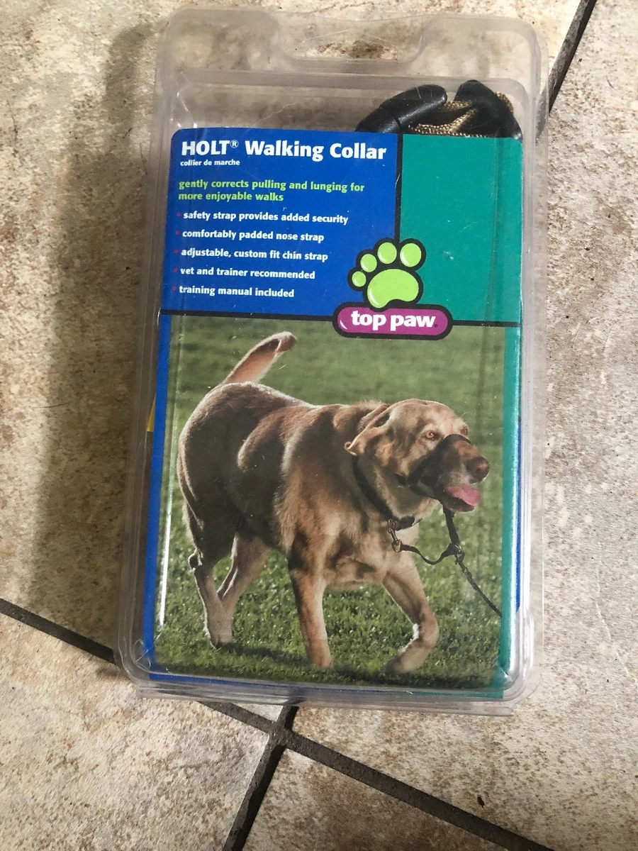 Holt Walking Collar