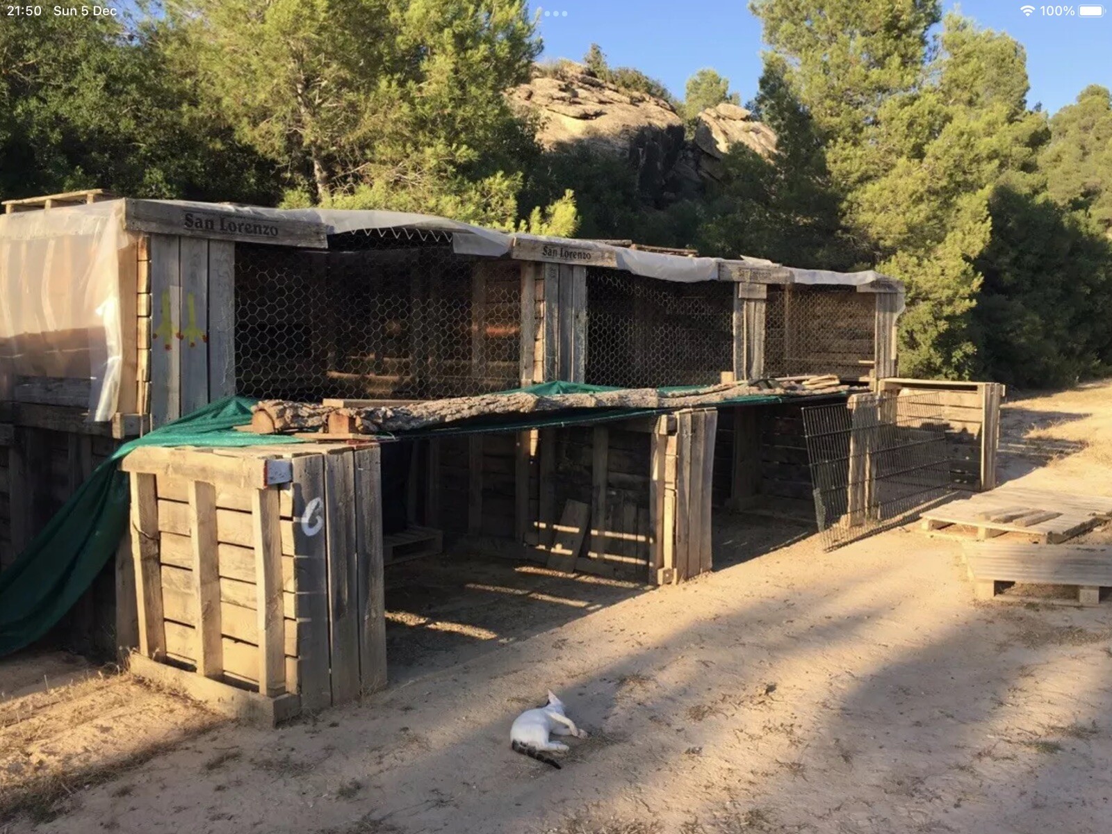 Country Finca 40 Acres Off Grid Fantastic Business Opportunity! Land In Spain - Picture 10 of 12