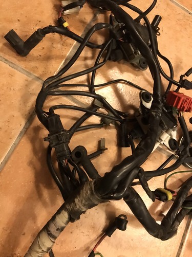 MOTO GUZZI Griso 1100 Impianto elettrico 2007 2016 Wiring ID87447 - Foto 4 di 6