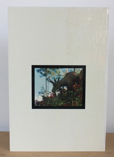 Le petit chamois des perrons Anne-Marie Gillet 1986 "contes à Natacha" Hommage - Bild 2 von 9