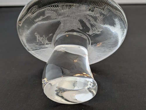 Wikinger Glas Pilz Sternzeichen Jungfrau geätzt - Bild 8 von 9
