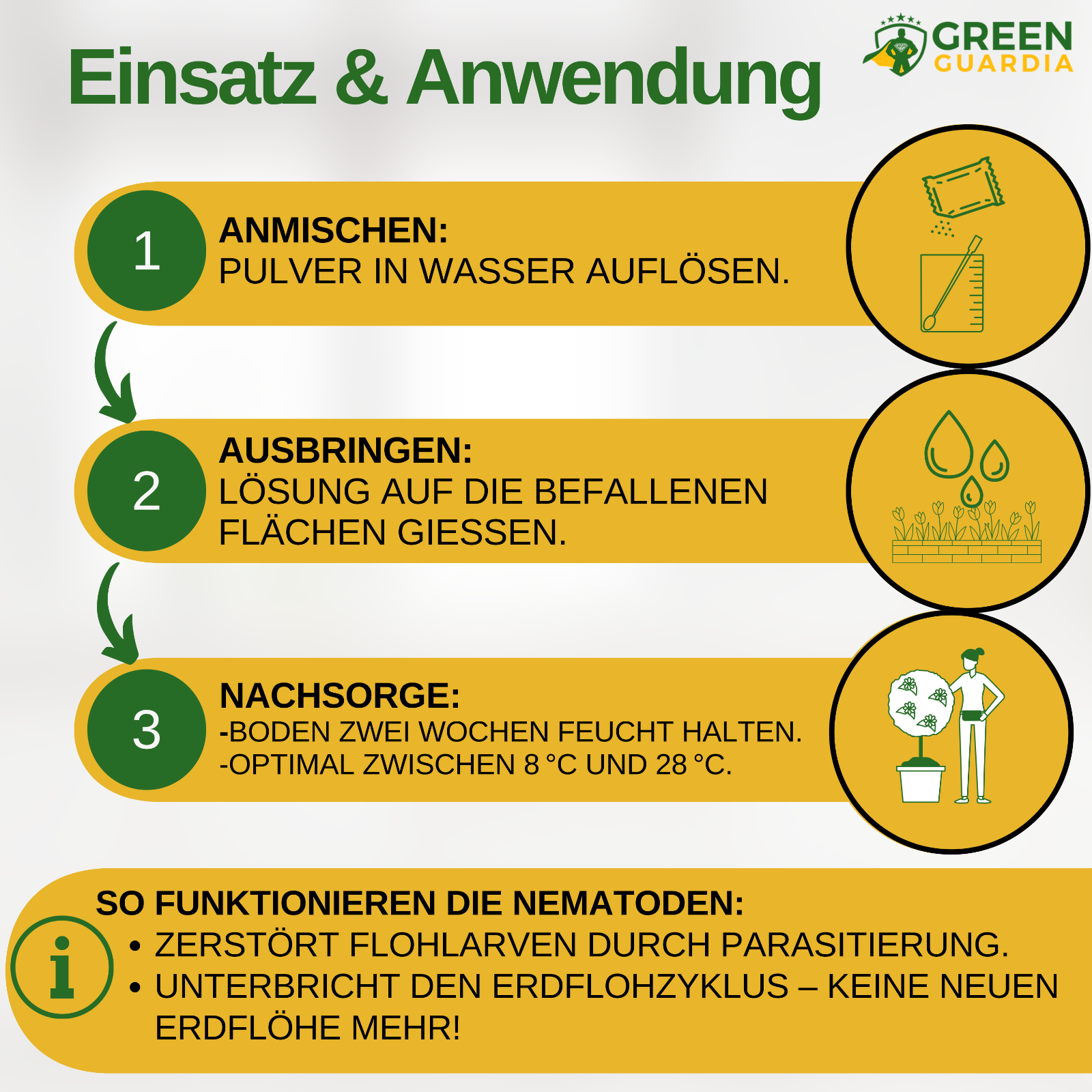 Bild 2 von 66