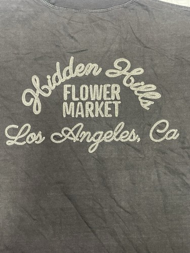 Pacsun Hidden Hills Men’s Stitched T-Shirt Size Larger Washed Out Gray - Picture 10 of 10