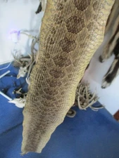 rattlesnake skin prairie rattle snake hide DRY TANNED wrap pen blanks 34 in. R2