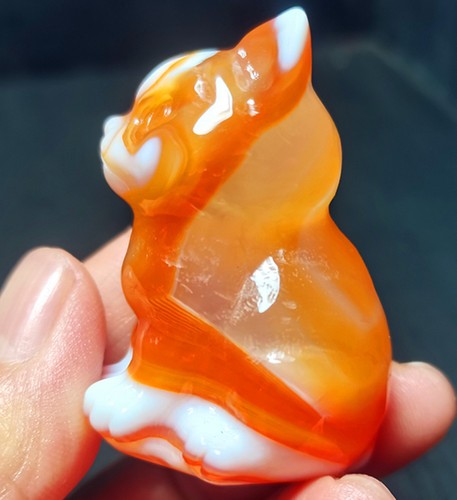 TOP 66.8G Natural Polished Silk Banded Lace Agate Crystal Hand carved cat R1952 - Picture 4 of 15