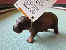 Safari Ltd PYGMY HIPPO Figure 2018 Hippopotamus Animal Figurine Wildlife Toy Tag