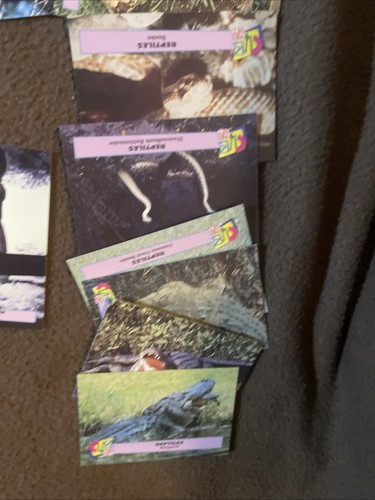 90’s Smithsonian Institute Club Pro Set 97 Cards Presidents reptile horse Native - Picture 11 of 18