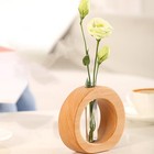 Hydroponic Glass Tube with Wooden Rack Desktop Flower Arrangement Holder