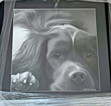 NIGEL HEMMING GICLEE LIMITED EDITION PRINT SPRINGER SPANIEL DOG LARGER THAN LIFE